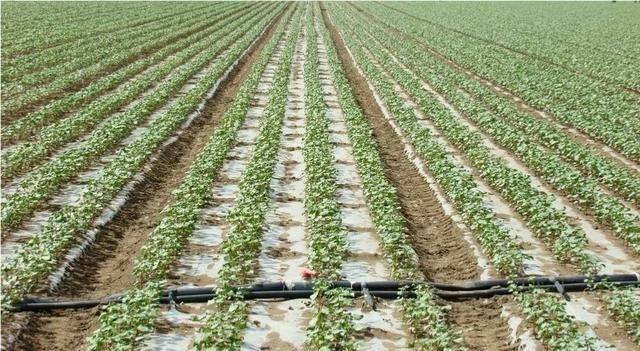农业节水灌溉，农业灌溉如何选择灌溉设备呢图6