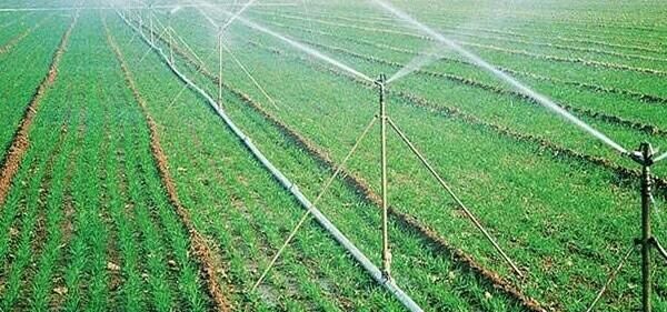 农业节水灌溉，农业灌溉如何选择灌溉设备呢图7
