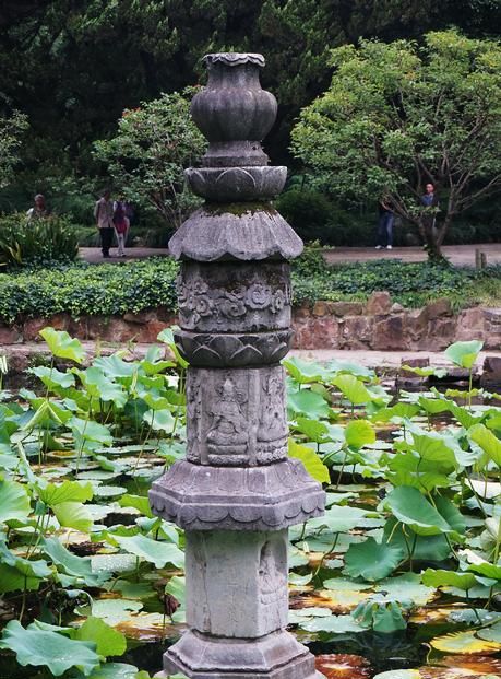上海古筝学习，上海古漪园游记图3